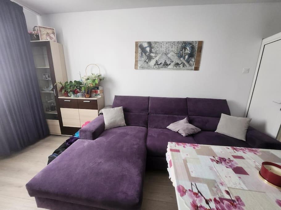 Modern Apartment. Best Location 소피아 외부 사진