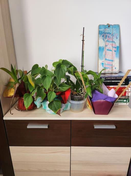Modern Apartment. Best Location 소피아 외부 사진